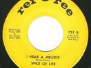 Sweet Soul Funk 45 SPICE OF LIFE 