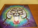 Motorhead 'Overkill' 1979 Vinyl