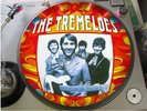 The Tremeloes - Silence is Golden  12
