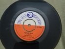 FIRE AND RAIN-THE GAYLADS.VINYL 7