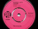 THE WOLVES Journey Into Dreams 7