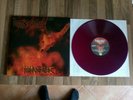 Rotting Christ Vinyl LP Genesis Greece 2010 Excellent++/Excellent++ Purple Vinyl