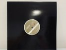 Björk ?– Pagan Poetry (Infusion Mix), White Label Vinyl 2002