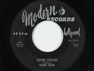 R&B Rocker 45 - Young Jessie - Oochie Coochie - Modern - mp3