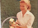 HELMET - Betty - 2x10