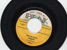 Starlites 45 Missing You/Give Me a Kiss PEAK orig doowop VG 452