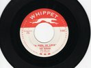 The Robins 45 A Fool In Love/All Of A Sudden WHIPPET original DOO WOP EX  61