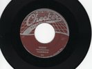 Flamingos 45 When/That’s My Baby CHECKER original DOO WOP EX  272