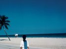 STEVE HIETT “ DOWN ON THE ROAD BY THE BEACH 