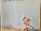 MORNING DEW (2), SAME, AKARMA RECORDS, AK195, REISSUE, MINT