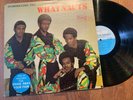 INTRODUCING THE WHATNAUTS STANG 1005 STEREO LP SWEET SOUL FUNK GEORGE KERR