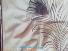 LP VINYL RECORD 12