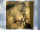 Nurse With Wound ?– The Surveillance Lounge black vinyl double LP album (New)