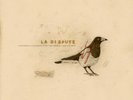 La Dispute Somewhere At The Bottom Buttered Popcorn Brown Vinyl 2xLP 10th Ann.
