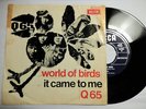 Q65 - WORLD OF BIRDS - IT CAME TO ME - ROCK - PROGRESSIVE - NL 1967 - 7