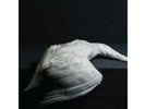 Amenra Mass Vi Vinyl New