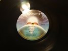 NAZARETH HAIR OF THE DOG 1975 UK PRESS 12