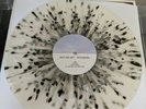 rotting out reckoning vinyl record clear with black splatter pure noise