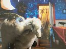 Infinity On High Deluxe + Bonus Tracks Vinyl Lp Fall Out Boy Emo Pop Punk