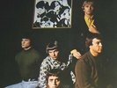 LP The Electric Prunes I Had Too Much To Dream Last Night Reprise Records