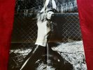 VAN HALEN 4 LP LOT: 1ST SELF II WOMEN and CHILDREN FIRST 1984 NM-/EX LUMINESCENT