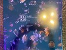 Ta-Ku - Songs To Break Up To - Limited Deep Purple Vinyl LP- Sealed - XX/300