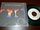 SIMPLE MINDS This Is Your Land/ Mandela's Day 1989 MEXICO 7