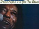 BUDDY GUY - DAMN RIGHT I'VE GOT THE BLUES LP BRAND NEW 180GM AUDIOPHILE VINYL
