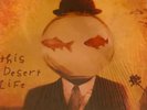 Counting Crows – This Desert Life – 2xLP (Original Pressing)