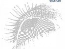 Loop : Wolf Flow VINYL 12