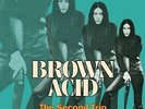 VARIOUS - Brown Acid : The Second Trip - LP (colour) RIDING EASY