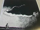 TO THE BEAT OF A DEAD HORSE by TOUCHE AMORE, VINYL LP 3RD PRESSING WHITE