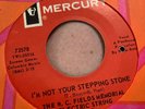 Garage 45/ W.C. Fields Memorial Electric String Band 