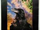 The stranglers The Raven rare 3d original Aus pressing
