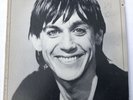 Iggy Pop - Lust for Life LP 1977 1st Press RCA AFL1-2488 STERLING Vinyl Record