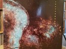 TUXEDOMOON Pinheads On The Move 2LP 1987 Cramboy w/inners VG+ EXPERIMENTAL SYNTH