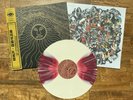 Kikagaku Moyo - Mammatus Clouds // Vinyl LP limited edition on COLORED LP