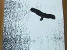 CHRISTINA CARTER..BASTARD WING...LP...NUMBERED LIMITED 250....INDIE ROCK..FOLK