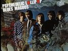 Blues Magoos - Psychedelic Lollipop