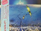 Shakatak Night Birds OBI NEAR MINT Polydor Vinyl LP