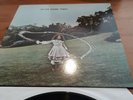 Trees On The Shore reissue  vinyl LP