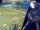 THE FLAMINGOS S/T THE FLAMINGOS LP MONO CHECKER LP 1433