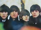 LP- THE BEATLES = BEATLES FOR SALE  (EMI PARLOPHONE) NEUWERTIG