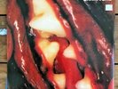 THRASH METAL LP -  CARNIVORE ?– s/t 2xLP RARE gatefold death VINYL