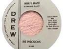 Detroit Double - The Precisions - What I Want / Why Girl - Drew USA Original