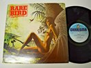 Rare Bird - Sympathy - UK Charisma label - 1982 - Psych/Prog Rock