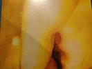Smashing Pumpkins - Pisces Iscariot [New Vinyl LP] 180 Gram