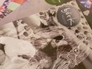 Bjork RARE Debut Post Homogenic Vespertine Limited edition Coloured Vinyl Bundle