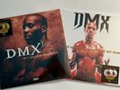 DMX It's Dark and Hell Is Hot Flesh of My Flesh Blood 2 LP Vinyl Record Lot