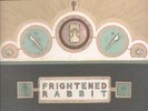 FRIGHTENED RABBIT WINTER OF MIXED DRINKS LP VINYL 11 track in gatefold sleeve wi